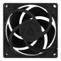 Preview: 80mm Arctic P8 PWM PST CO Black