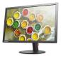 Preview: Lenovo ThinkVision T2454PA 24" WUXGA IPS Monitor 1920x1200 HDMI DP VGA USB Refurbished ohne Standfuß