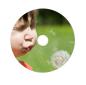 Preview: Verbatim - 10 x DVD-R - 4.7GB 16x - breite bedruckbare Flche fürFotos - Jewelcase (Schachtel) - Speichermedium (43521)