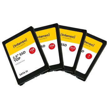 Preview: 256GB Intenso Top Performance