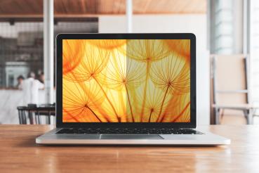 3M Blickschutzfilter für 14" Full Screen Notebooks 16:9