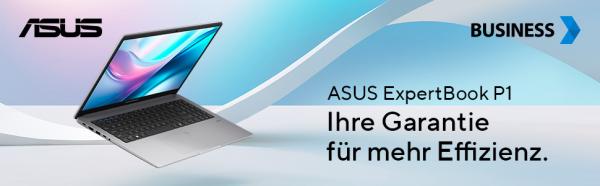 ASUS ExpertBook P1 P1503CVA – 15,6" FHD Notebook | i5-13420H | 16GB RAM | 512GB SSD | Windows 11 Pro | Misty Grey