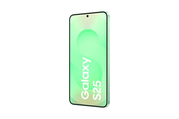 Samsung Galaxy S25 128GB 12RAM 5G DE mint